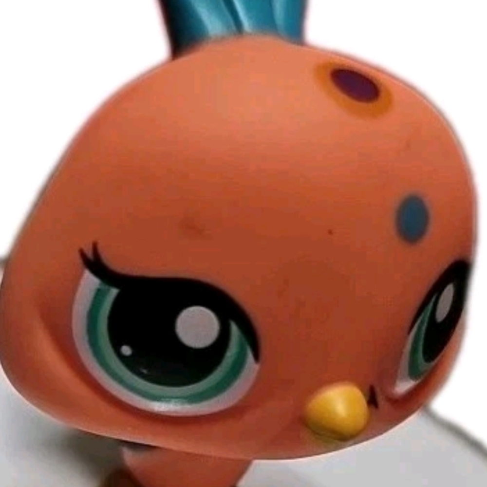 Littlest Pet Shop LPS 1462 Peacock Bird Orange Figure Toy Hasbro